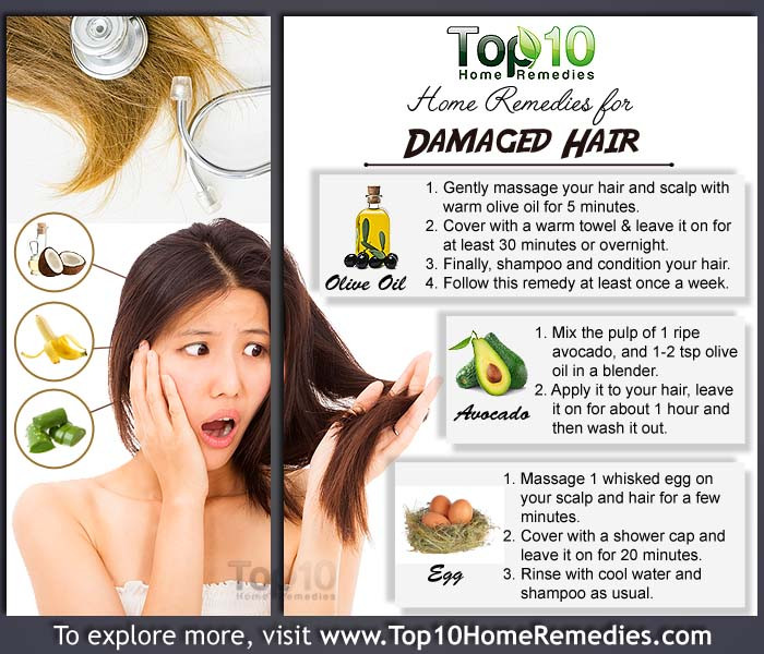 DIY Treatment For Damaged Hair
 Home Reme s for Damaged Hair – PinLaVie