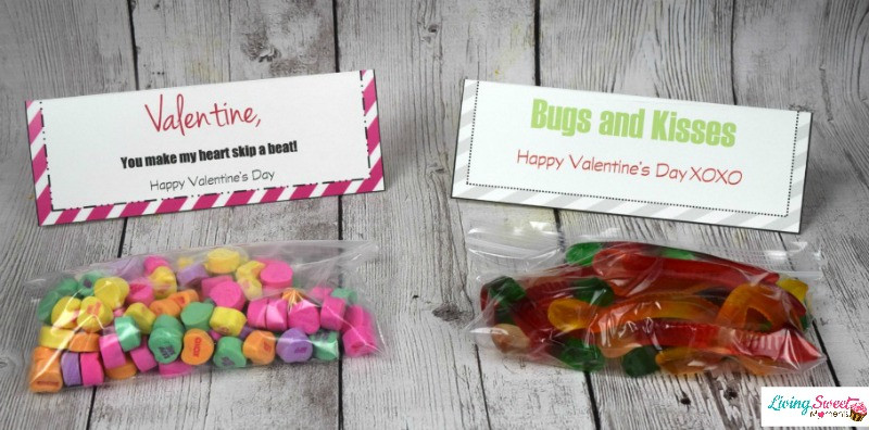 DIY Valentines Gifts For Kids
 DIY Valentine s Gift For Kids