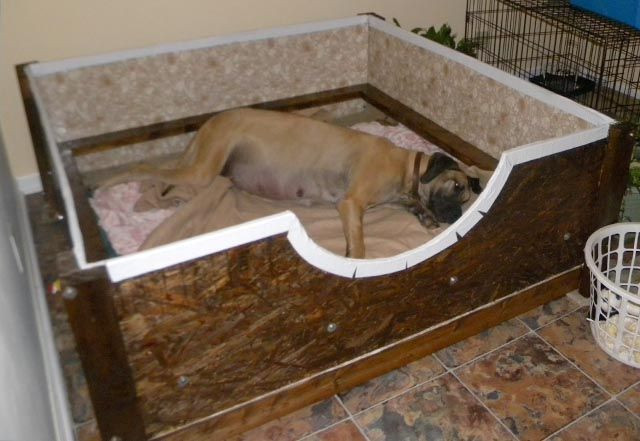 DIY Whelping Boxes
 whelping box plans for when your dogs going to give birth