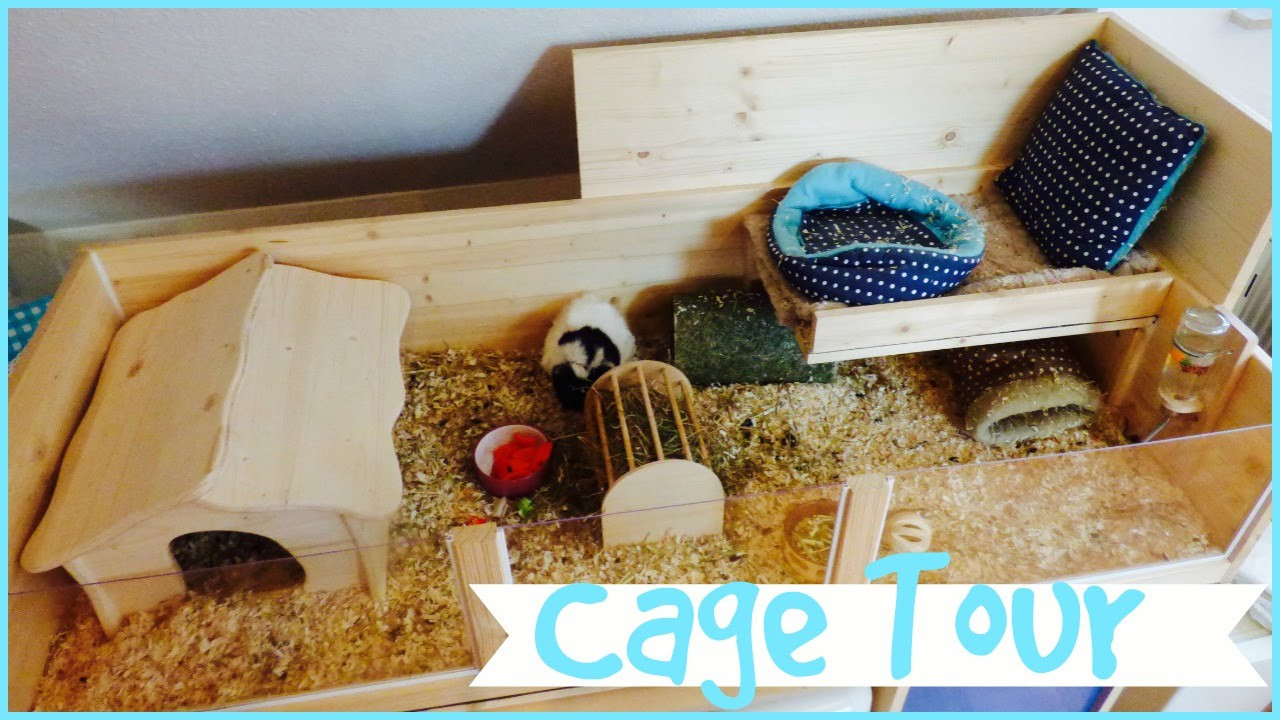 DIY Wooden Guinea Pig Cage
 DIY Cage Tour My Mum s Guinea Pig Cage
