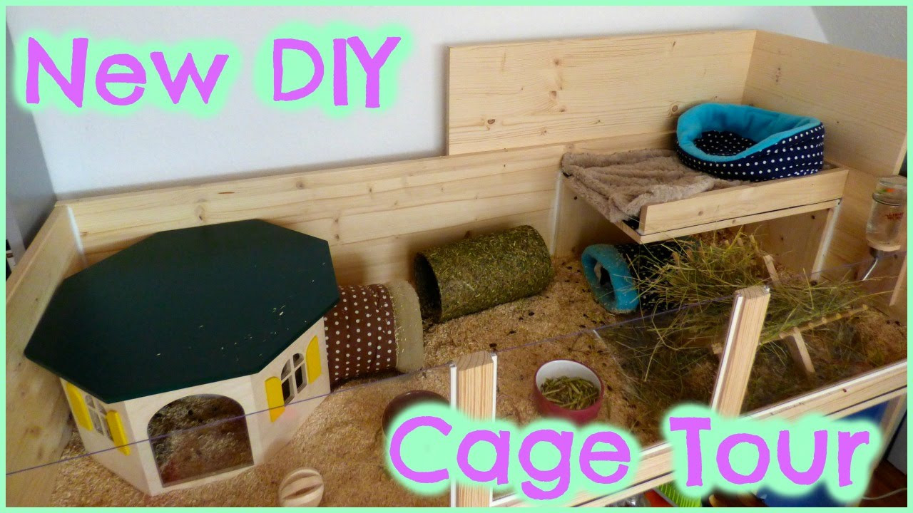 DIY Wooden Guinea Pig Cage
 DIY Cage Tour My Mum s Guinea Pig Cage