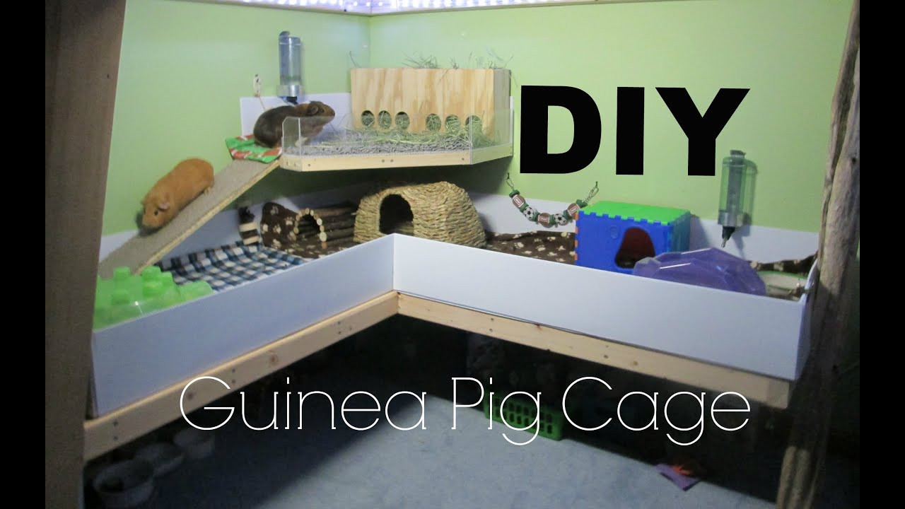DIY Wooden Guinea Pig Cage
 DIY Guinea Pig Cage