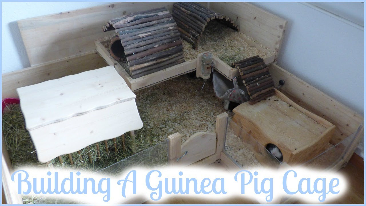 DIY Wooden Guinea Pig Cage
 How To Build Your Own Wooden Guinea Pig Cage