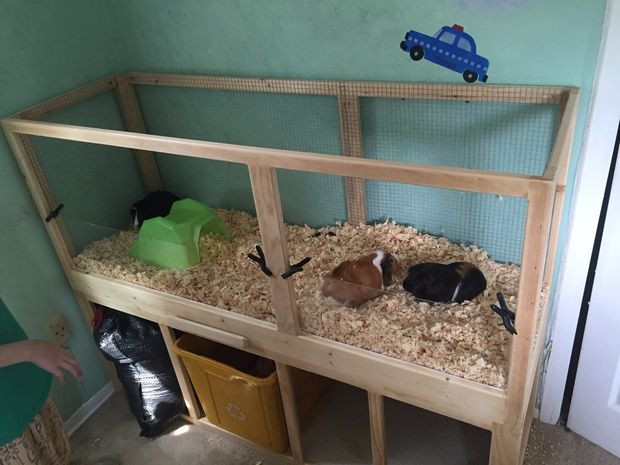 DIY Wooden Guinea Pig Cage
 Build a Guinea Pig cage with EASY cleaning Projects with