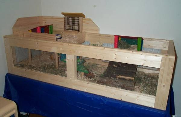 DIY Wooden Guinea Pig Cage
 Cage Opinions on building a wood cage