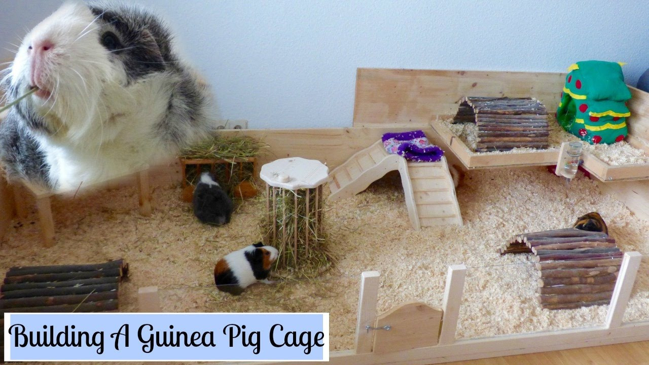 DIY Wooden Guinea Pig Cage
 How to Build Your Own Wooden Guinea Pig Cage