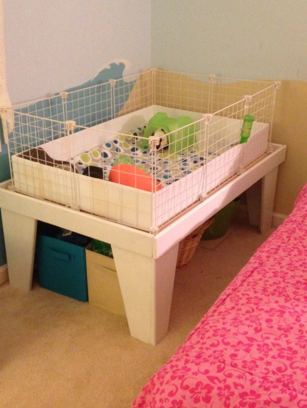 DIY Wooden Guinea Pig Cage
 11 DIY Guinea Pig Cage Ideas DIY Projects