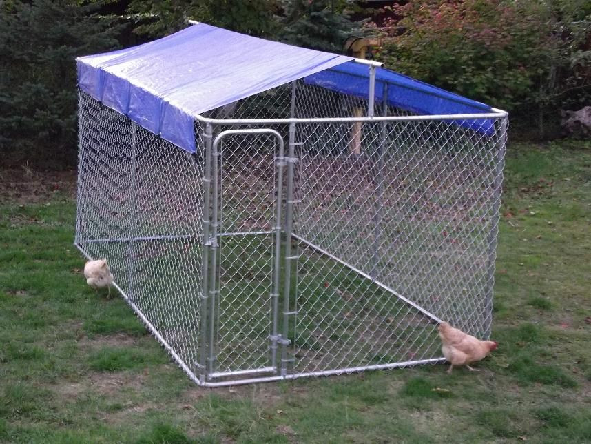 Dog Kennel Roof DIY
 Dog Kennel Roof Cover Ideas