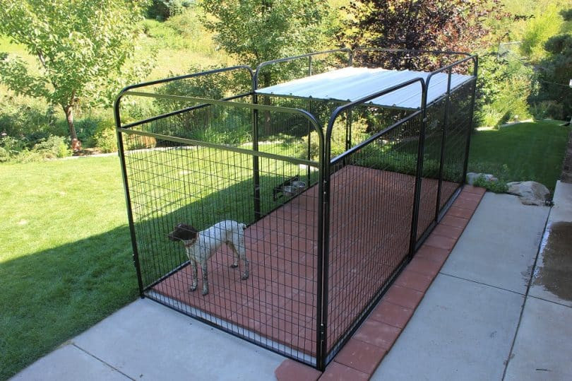 Dog Kennel Roof DIY
 Dog Pen Ideas Giving Your Best Friend His Very Own Play