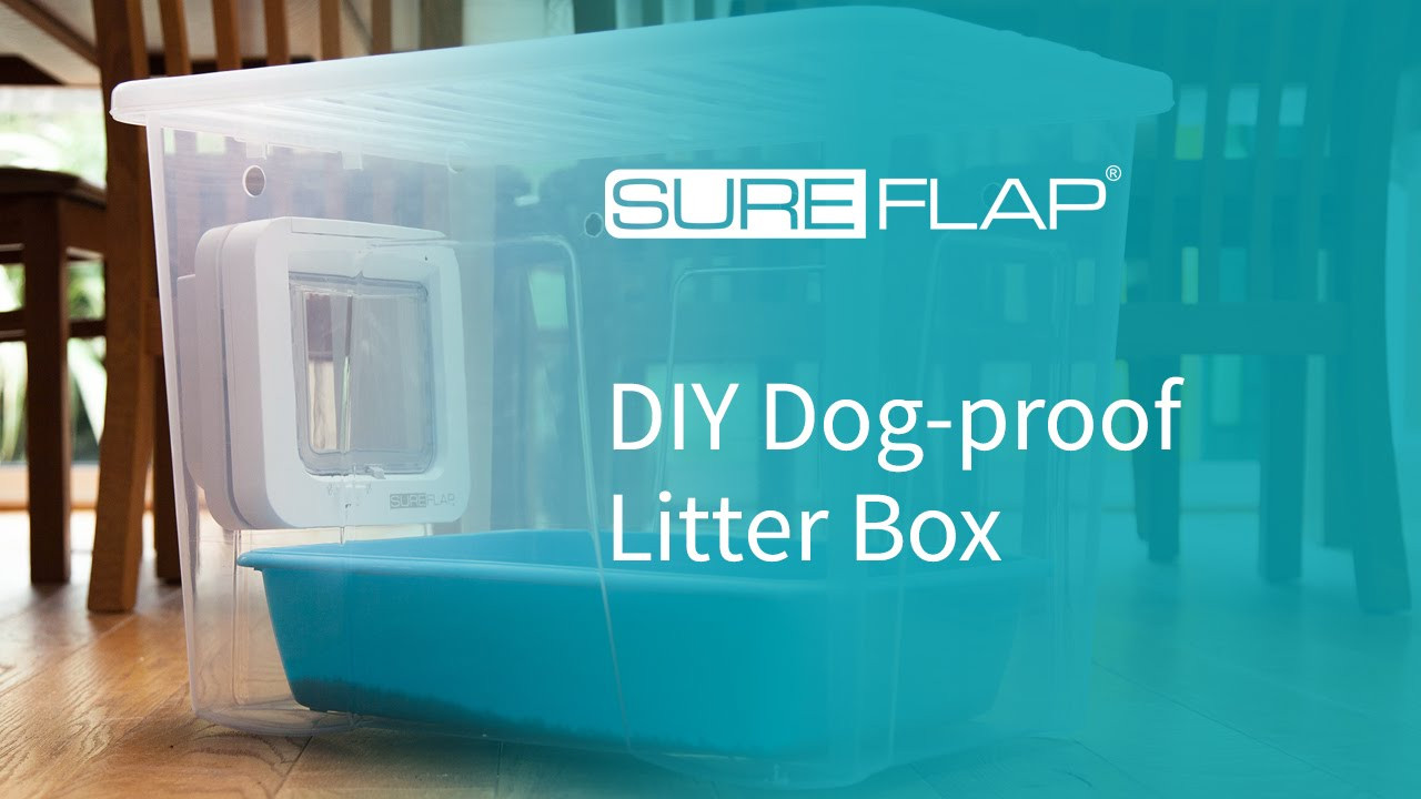 Dog Proof Litter Box DIY
 DIY Dog proof Litter Box from SureFlap