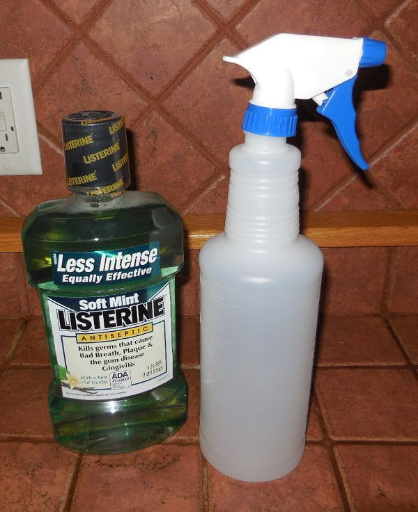 Dog Repellent Spray DIY
 Homemade Dog Urine Repellent Homemade Ftempo Luxury