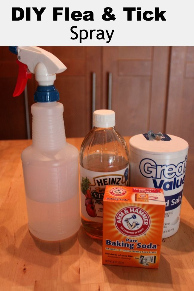 Dog Repellent Spray DIY
 Homemade Flea & Tick Spray for Pets