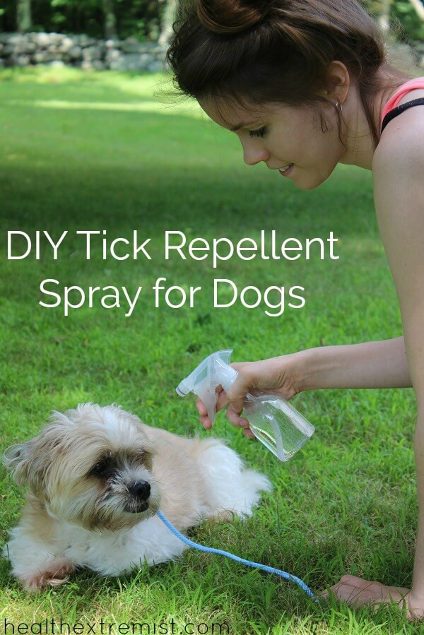 Dog Repellent Spray DIY
 Natural DIY Tick Repellent Spray for Dogs Just 3
