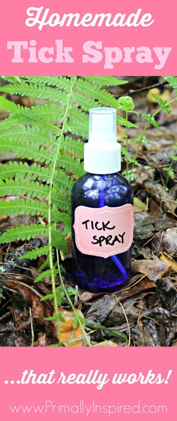 Dog Repellent Spray DIY
 Best 25 Homemade flea spray ideas on Pinterest