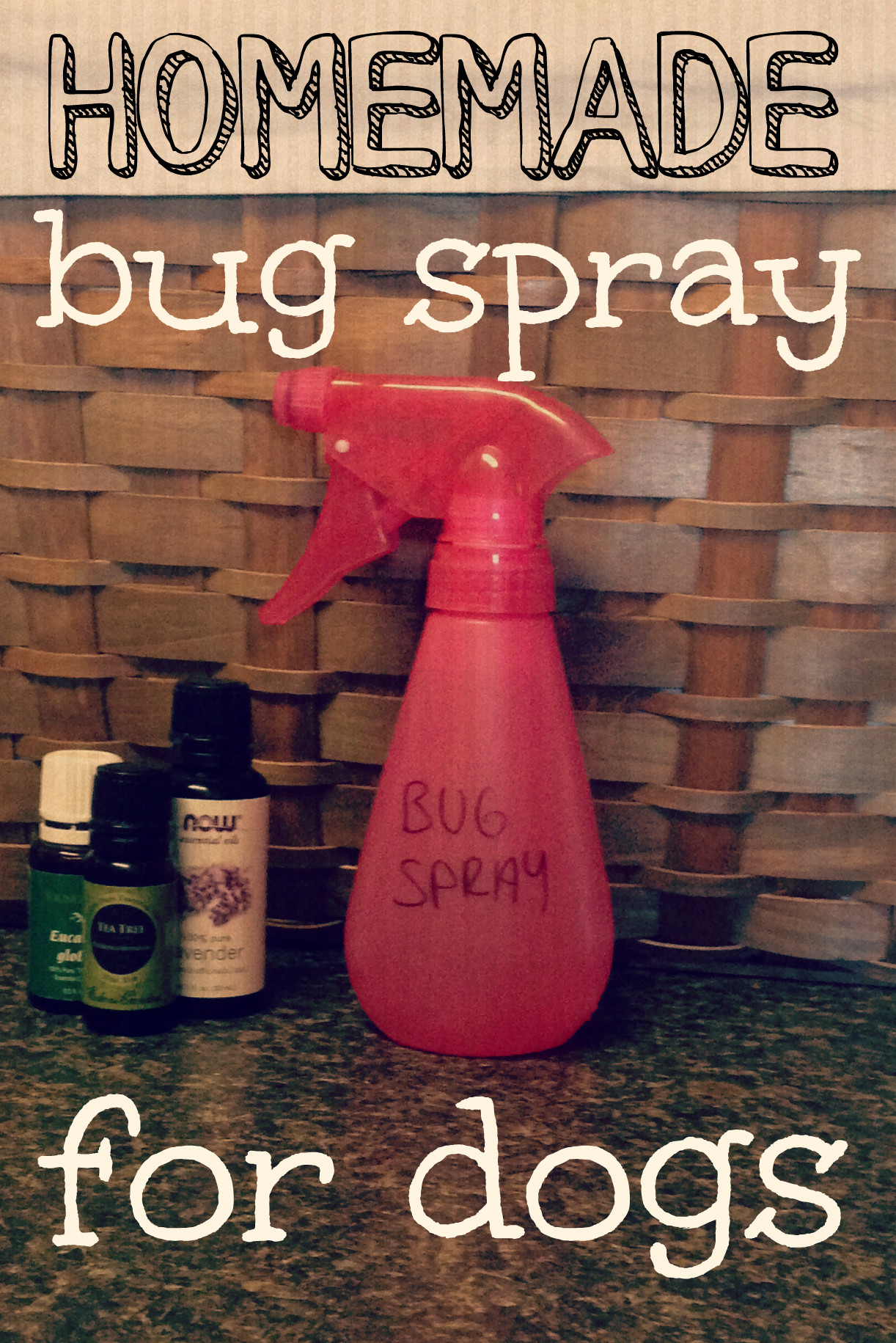 Dog Repellent Spray DIY
 Homemade Bug Spray for Dogs