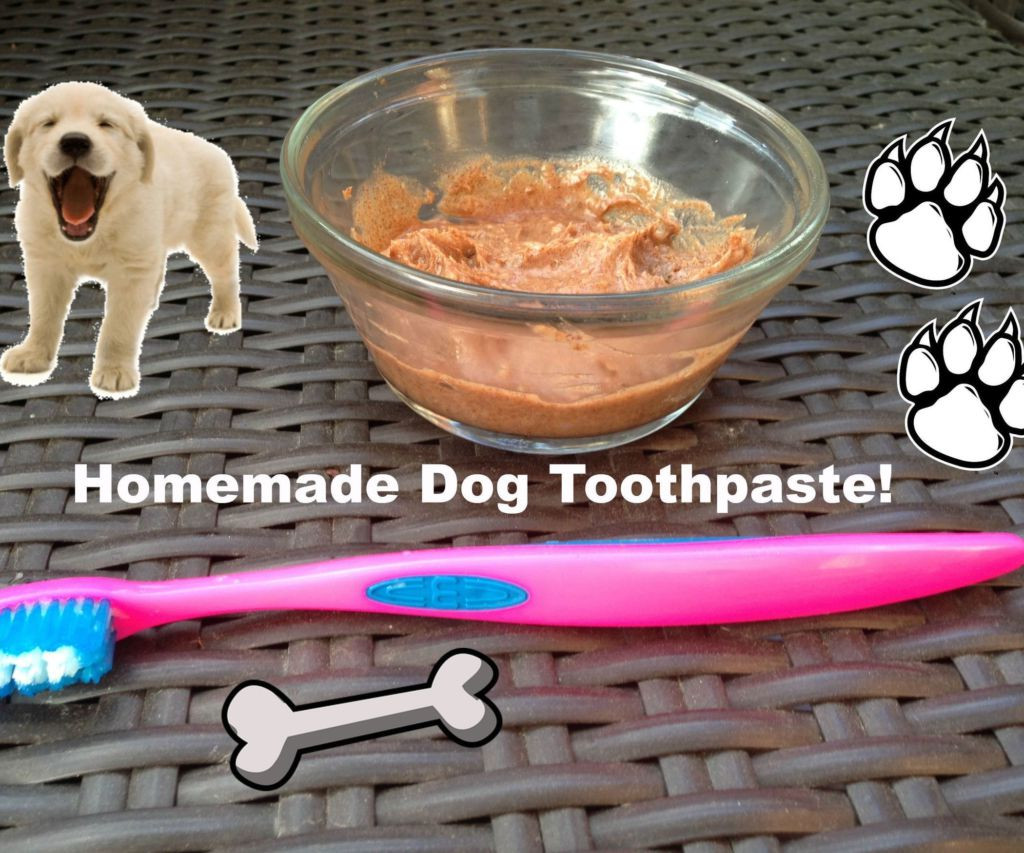 Dog Toothpaste DIY
 Homemade Toothpaste for Dogs