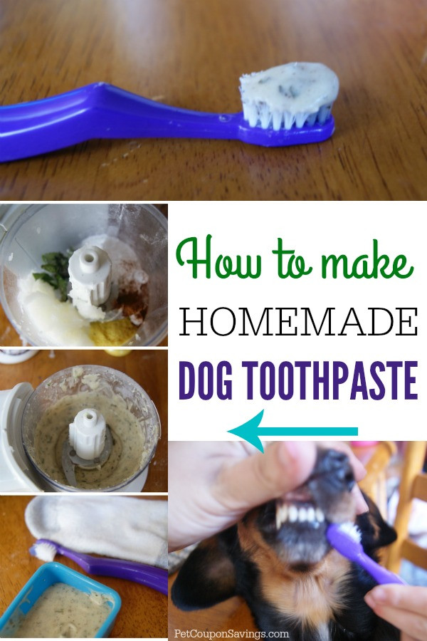 Dog Toothpaste DIY
 Homemade Dog Toothpaste Pet Coupon Savings