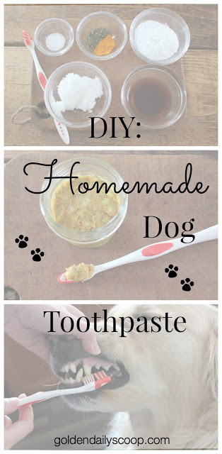 Dog Toothpaste DIY
 DIY Homemade Dog Toothpaste