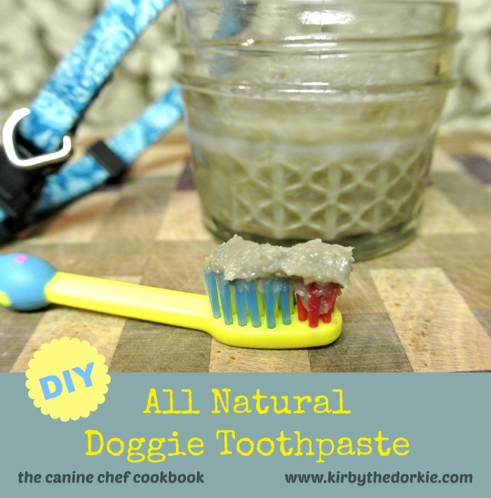 Dog Toothpaste DIY
 DIY Doggie Toothpaste — The Canine Chef Cookbook