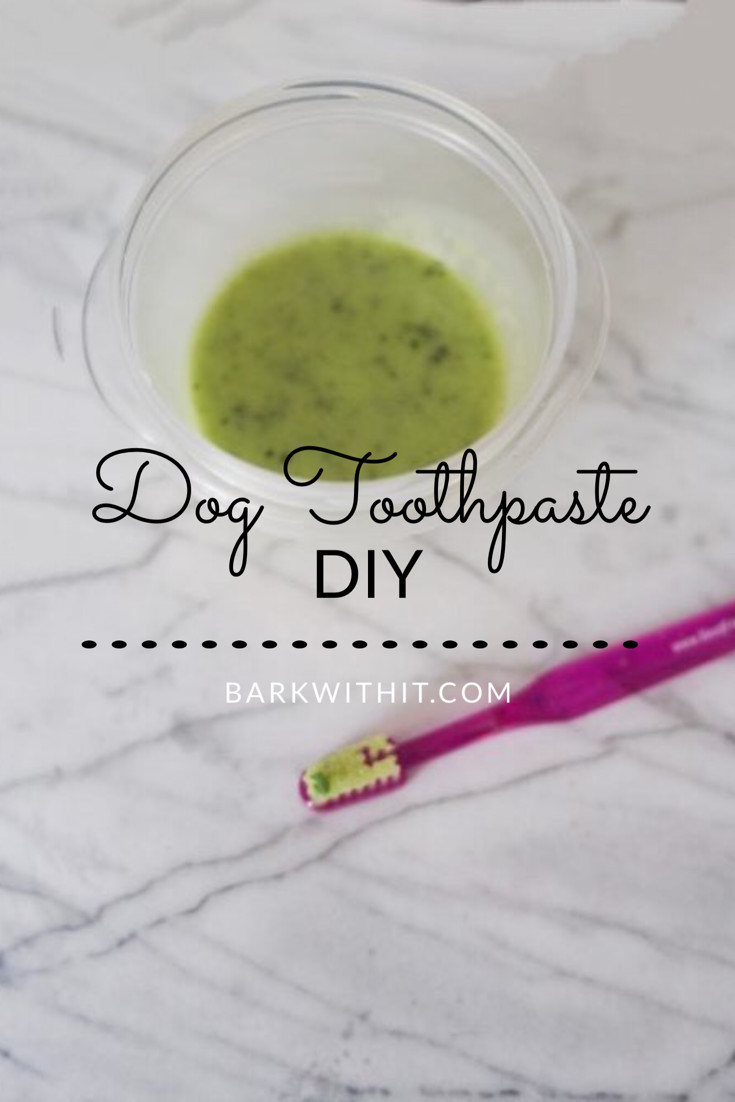Dog Toothpaste DIY
 Dog Toothpaste DIY Reasons to brush them Bark With It