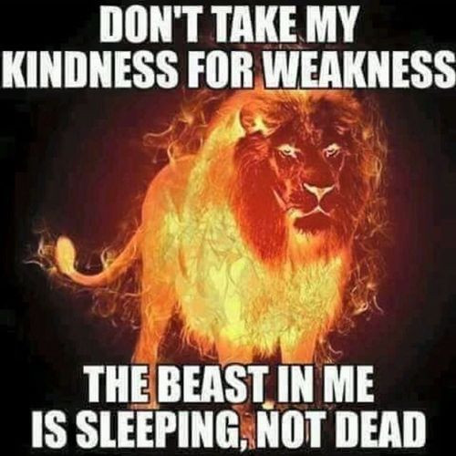 Don T Take My Kindness For Weakness Quotes
 The Beast In Me Is Sleeping Not Dead s