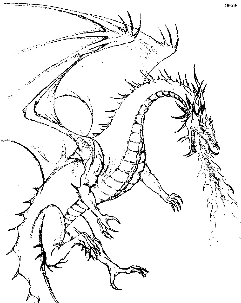 Dragon Coloring Pages Free Printable
 Color the Dragon Coloring Pages in Websites