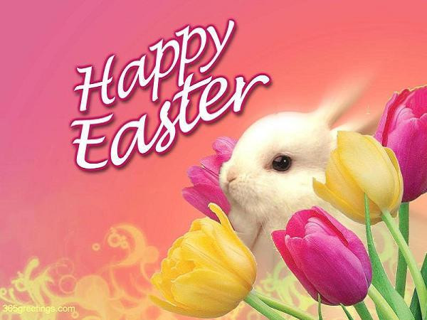 Easter Funny Quotes
 Happy Easter Quotes 365greetings