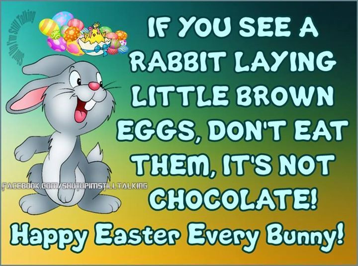 Easter Funny Quotes
 Best 25 Funny easter quotes ideas on Pinterest