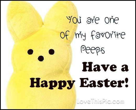 Easter Funny Quotes
 Best 25 Happy easter quotes ideas on Pinterest