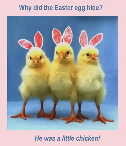 Easter Funny Quotes
 Funny Easter Stuff