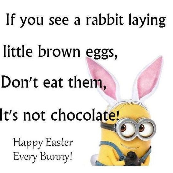 Easter Funny Quotes
 20 Funny Easter Quotes