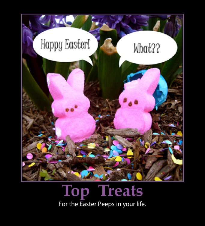 Easter Funny Quotes
 Funny Quotes about Easter
