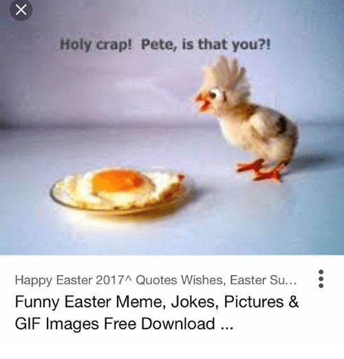 Easter Funny Quotes
 25 Best Memes About Funny Easter