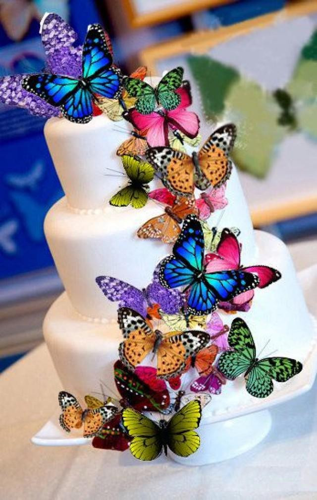 Edible Birthday Cake Decorations
 Wel e Spring & Summer Edible Butterfly Cake Decorations