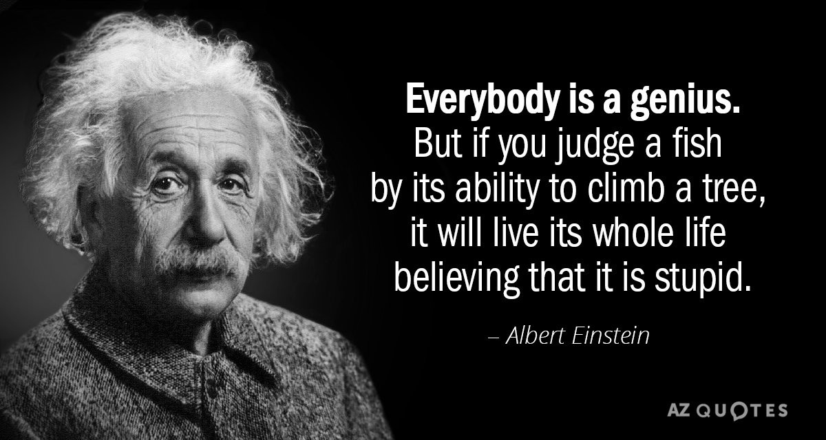 Einstein Quote About Education
 Albert Einstein quote Everybody is a genius But if you