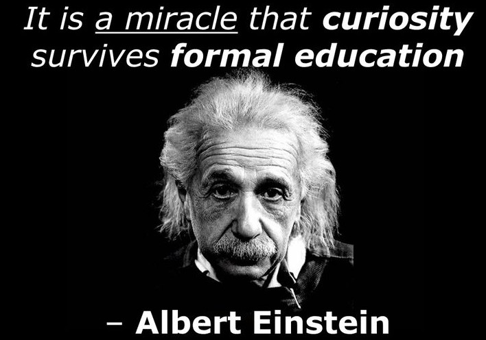 Einstein Quotes About Education
 31 Amazing Albert Einstein Quotes with Funny