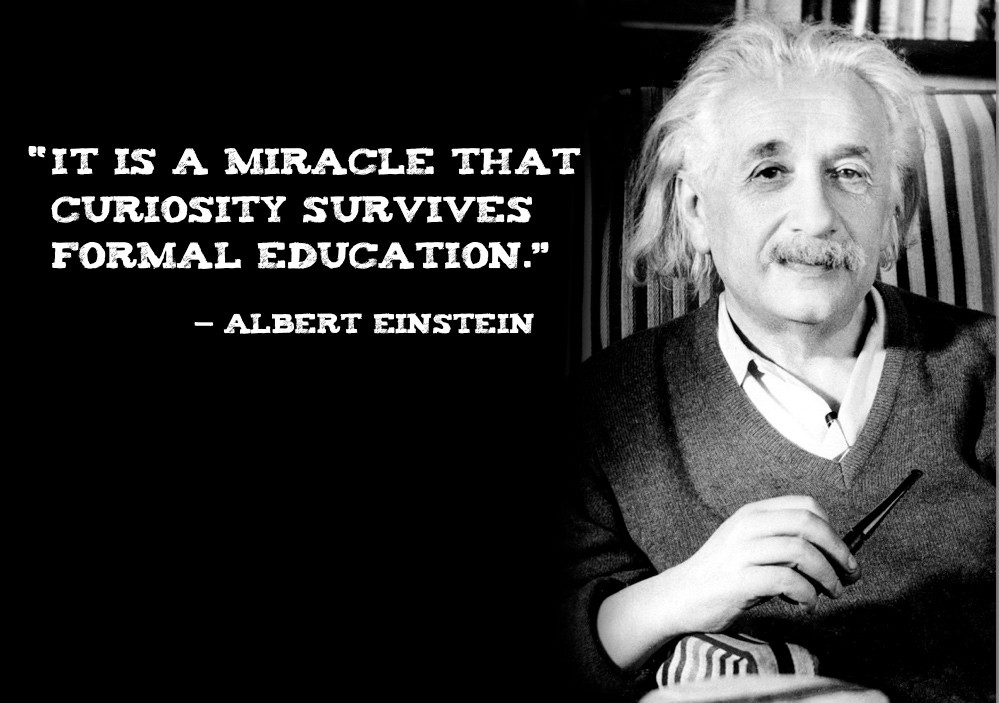 Einstein Quotes About Education
 A Good School Quotes