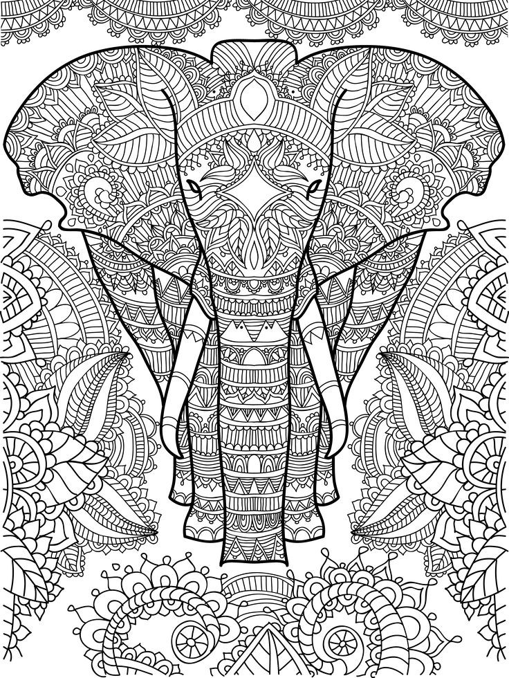 Elephant Coloring Book For Adults
 155 best images about Elephant Coloring Pages for Adults