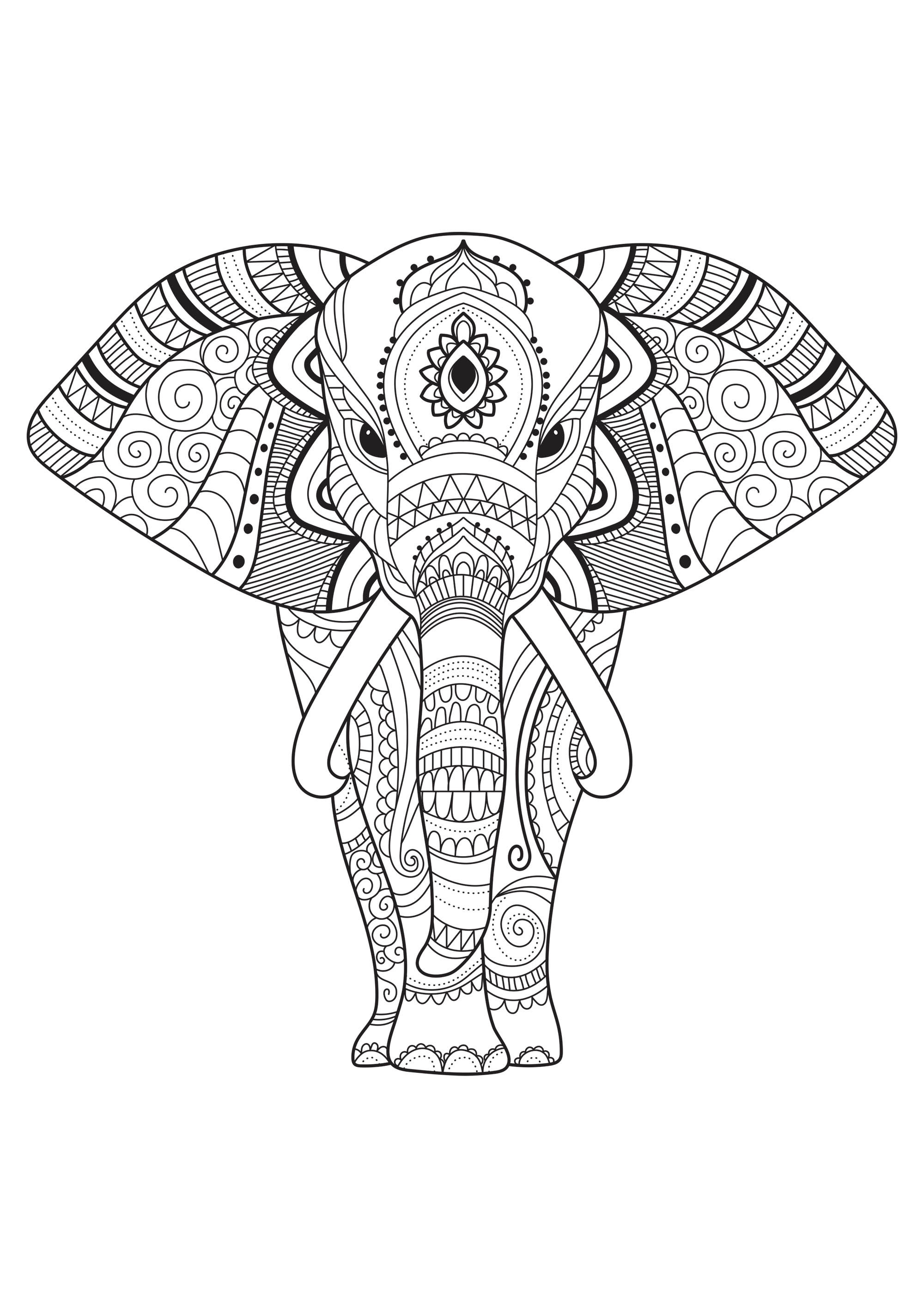 Elephant Coloring Book For Adults
 Elephant with simple patterns Elephants Adult Coloring Pages
