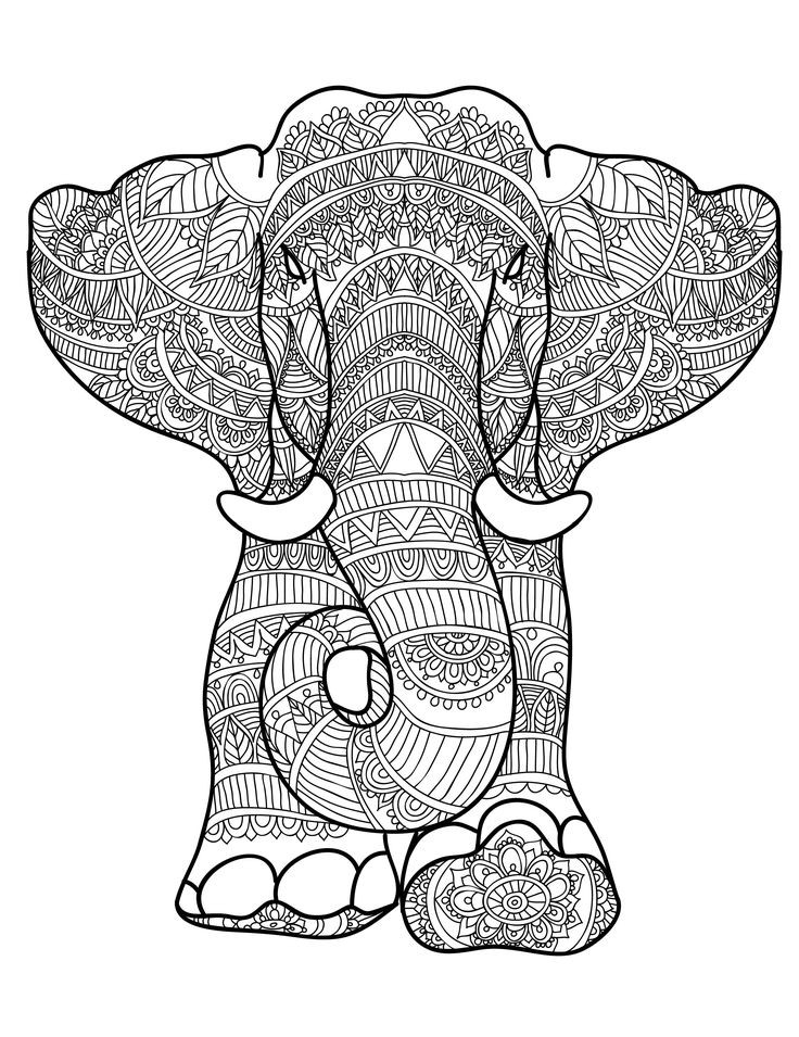 Elephant Coloring Book For Adults
 173 best Elephant Coloring Pages for Adults images on