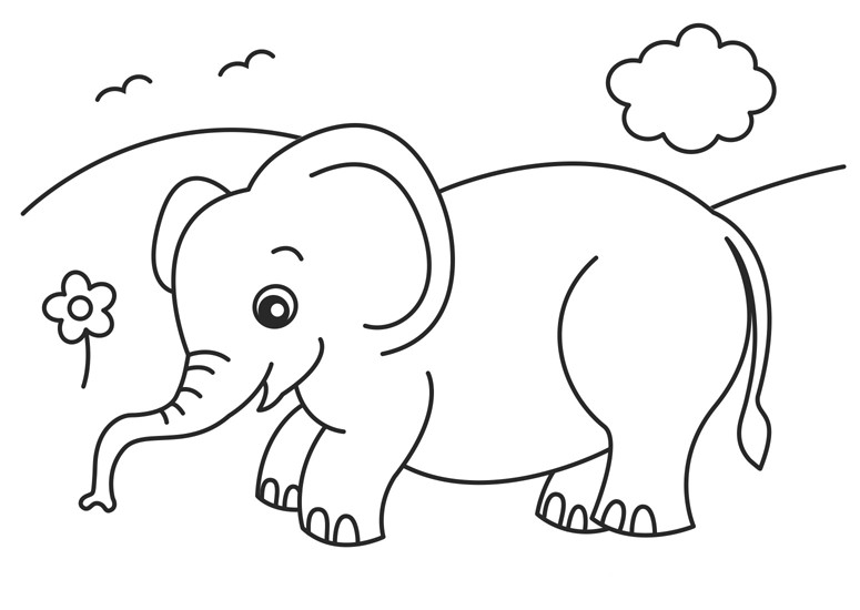 Elephant Coloring Book
 Baby Elephant Coloring Pages Animal