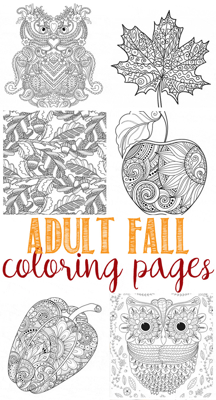 Fall Coloring Sheets Free
 Fall Coloring Pages for Adults Domestically Speaking