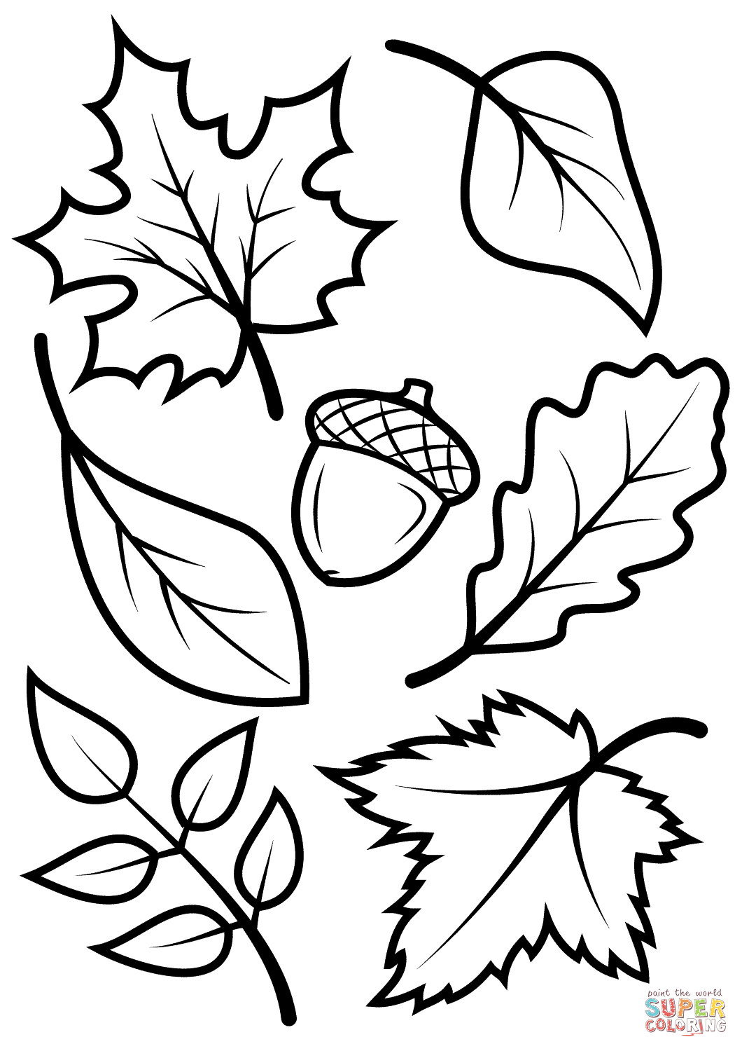 Fall Coloring Sheets Free
 Fall Leaves and Acorn coloring page