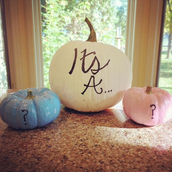 Fall Gender Reveal Party Ideas
 31 Fun And Sweet Gender Reveal Party Ideas Shelterness