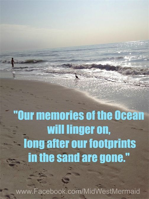 Family Beach Quotes
 Family Beach Vacation Memory Quotes QuotesGram