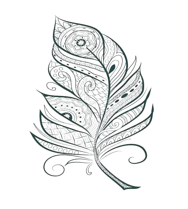 Feather Coloring Pages
 Indian Feathers Coloring Pages at GetColorings