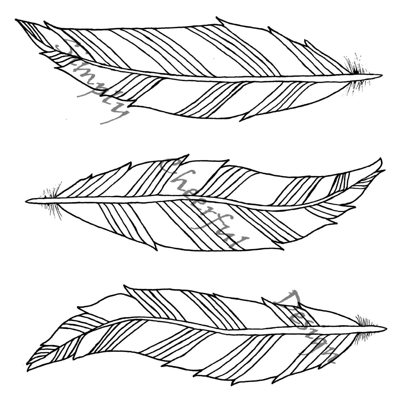 Feather Coloring Pages
 Feather Coloring Page 3 Aztec Feathers printable coloring
