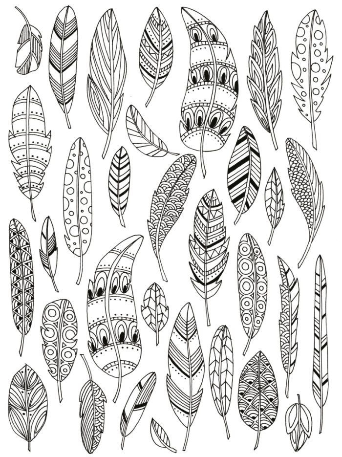Feather Coloring Pages
 Feathers adult colouring Davlin Publishing