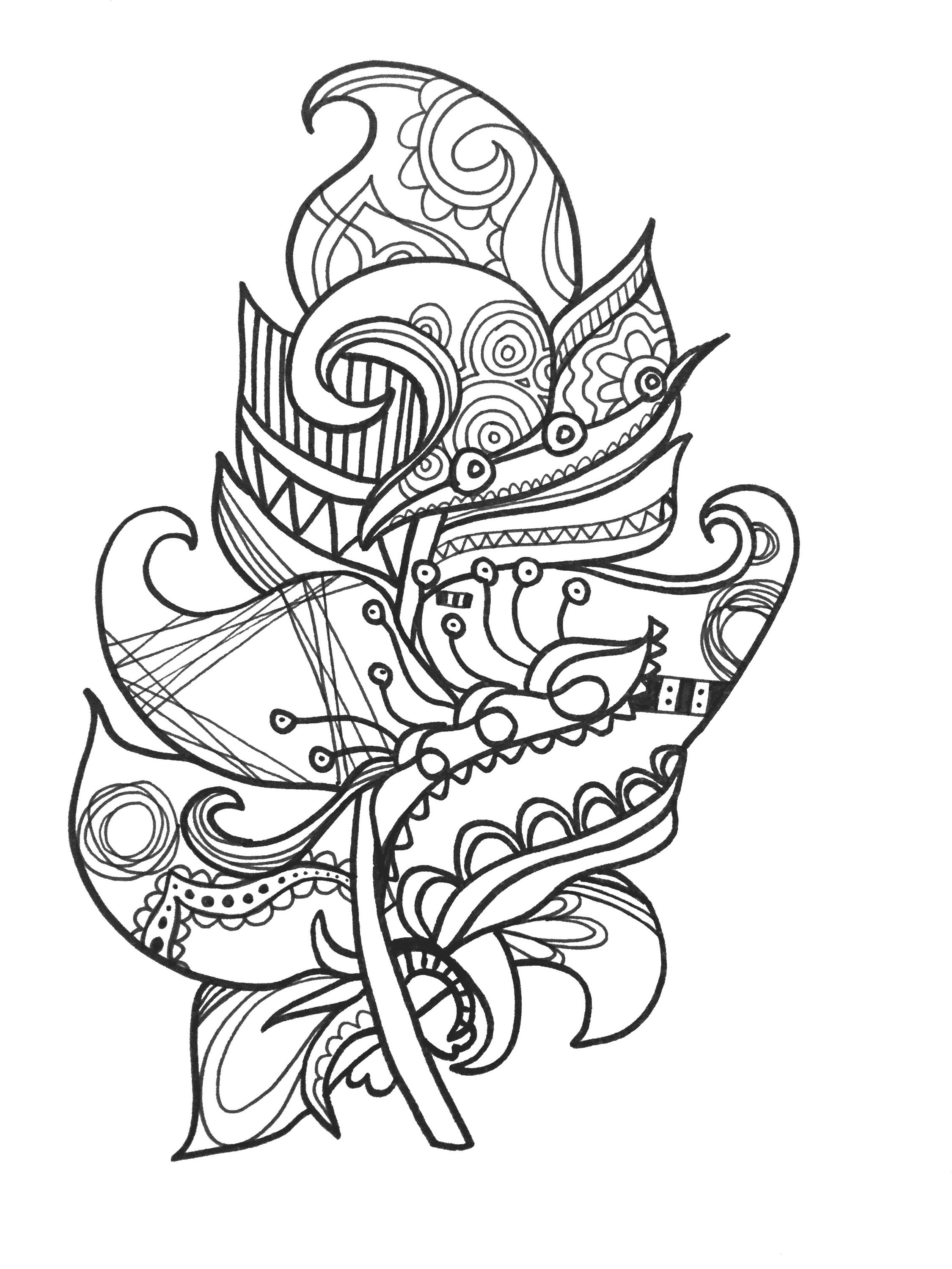 Feather Coloring Pages
 January 2016