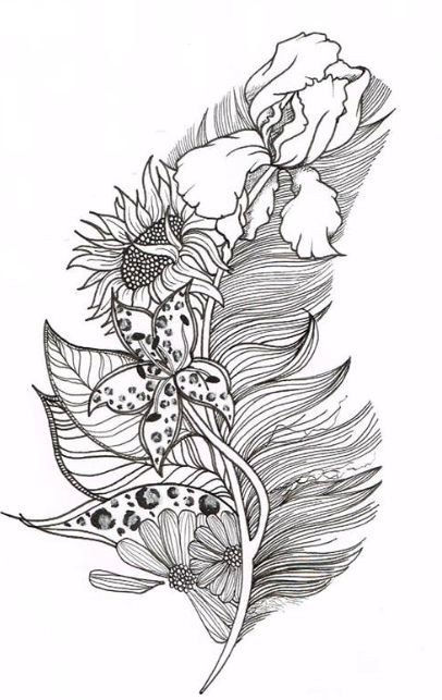 Feather Coloring Pages
 145 best Feathers Leaves Coloring Pages for Adults